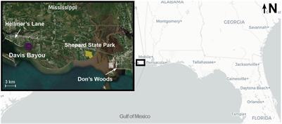 Density Dependent Refueling of Migratory Songbirds During Stopover Within an Urbanizing Coastal Landscape